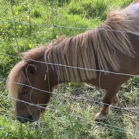 Havre De Nature, Proche Puy Du Fou Kamp alanı