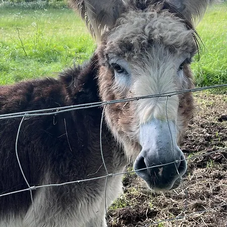 Havre De Nature, Proche Puy Du Fou * La Boissiere-de-Montaigu