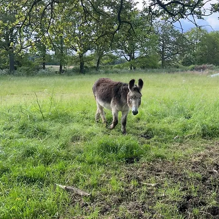 Kamp alanı Havre De Nature, Proche Puy Du Fou La Boissiere-de-Montaigu